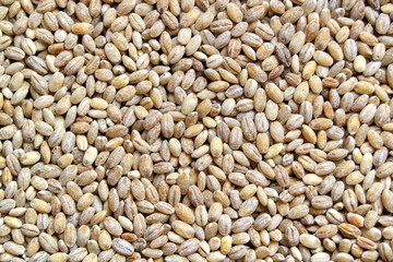 Barley groats (lat. Hórdeum), top view, close-up. Healthy, natural food.