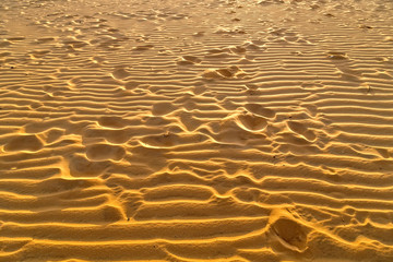 Footprints Desert sand. Dunes Landscape at Sunrise