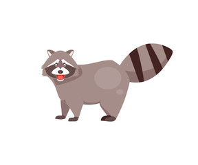 Cartoon raccoon vector