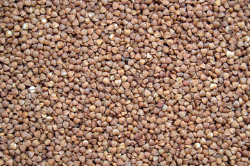 Buckwheat groats (lat. Fagopýrum esculéntum), top view, close-up. Healthy, natural food.