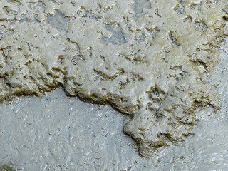 mud texture