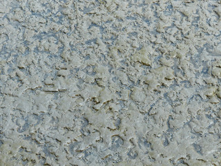 mud texture
