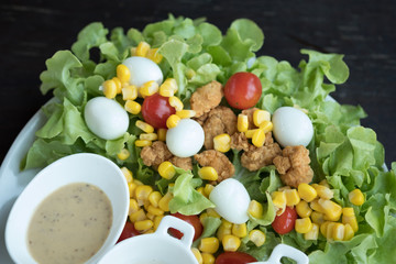 Fresh salad with green oak lettuce