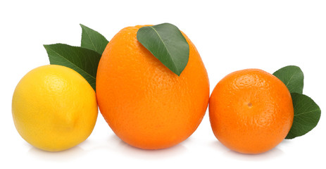 Grapefruit, orange and lemon isolated on white