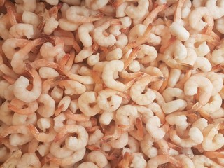 frozen seafood, shrimp, for textures