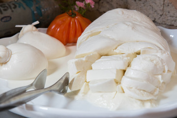 Freshly made buffalo mozzarella and ready to eat