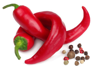 Pepper bitter on white background isolated