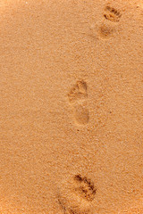 footprint