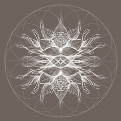 Elegant element of a stylized flower with smooth lines. Stylized floral element for design.