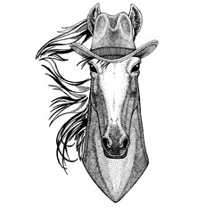 Horse, hoss, knight, steed, courser wearing cowboy hat. Wild west animal. Hand drawn image for tattoo, emblem, badge, logo, patch, t-shirt