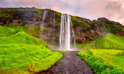 Seljalandsfoss waterfall in Iceland at sunset, amazing summer landscape, panoramic view with green flowering meadow and falling water from the cliff, travel background, popular tourist attraction