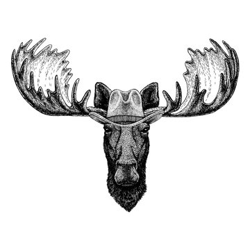 Moose, elk wearing cowboy hat. Wild west animal. Hand drawn image for tattoo, emblem, badge, logo, patch, t-shirt