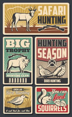 Hunting sport. Birds, deers and bulls, squirrel