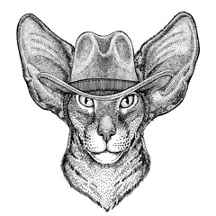 Oriental cat wearing cowboy hat. Wild west animal. Hand drawn image for tattoo, emblem, badge, logo, patch, t-shirt
