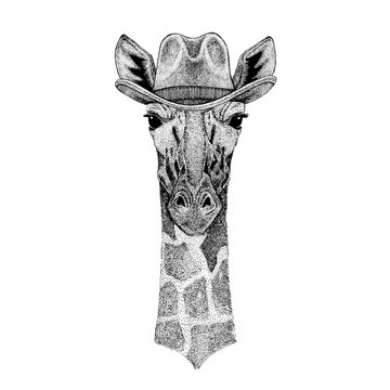 Camelopard, giraffe wearing cowboy hat. Wild west animal. Hand drawn image for tattoo, emblem, badge, logo, patch, t-shirt