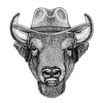 Buffalo, bison,ox, bull wearing cowboy hat. Wild west animal. Hand drawn image for tattoo, emblem, badge, logo, patch, t-shirt