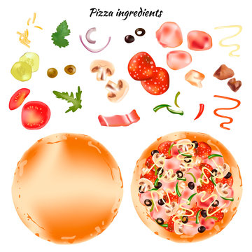Ingredients for pizza. Realistic vector image. Collect pizza by yourself. Isolated illustration.