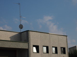 Fototapeta na wymiar piccione sul capannone, antenna tv