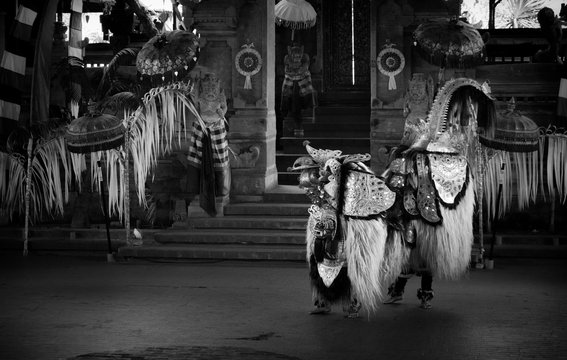 Photograph of barong in traditional balinese dance performance.