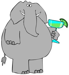 Elephant drinking a margarita
