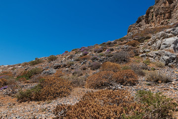 The slope of the mountain with grass and flowers.