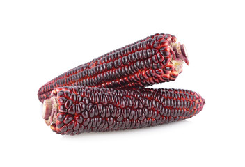 fresh purple corn on white background