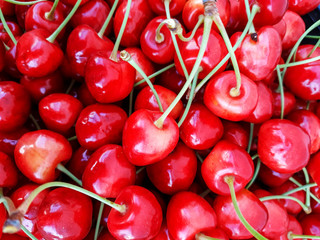 Red fresh bunch of cherries on the table. Berry background. Cherries at farmers market, Ukraine. Fresh organic fruit.