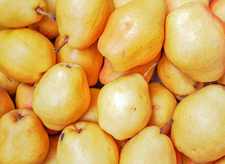 yellow fresh bunch of pear on the table. Berry background. Pear at farmers market, Ukraine. Fresh organic fruit.