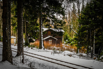 Fr&uuml;hlingserwachen in Braunlage