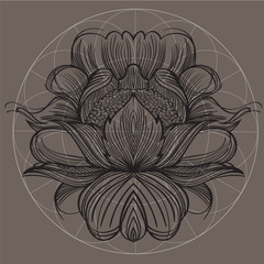 Elegant element of a stylized flower with smooth lines. Stylized floral element for design.