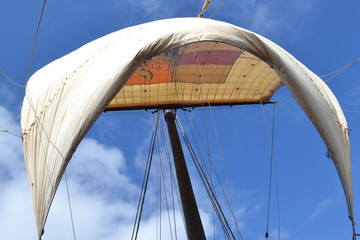 Segel im Wind