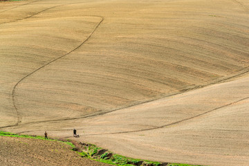 Die Crete Senesi südlich von Siena im Herbst. Nach der Ernte kommt der  erdige Charakter der...