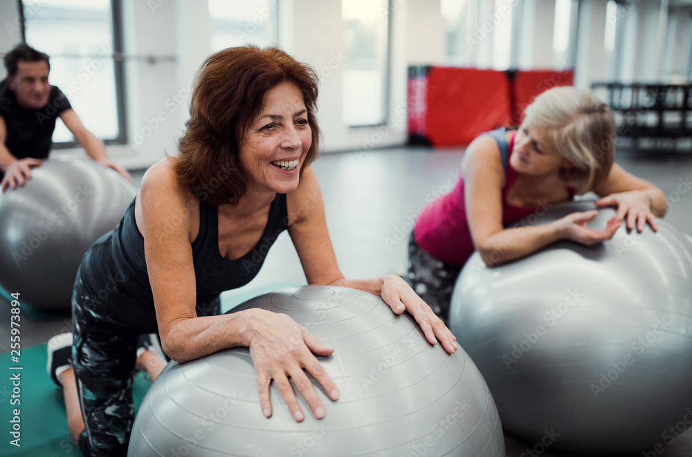 Wall mural Group of cheerful female seniors in gym doing exercise on fit balls.