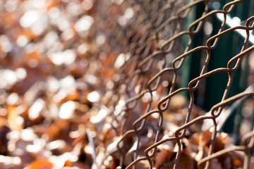 maschendrahtzaun rostig