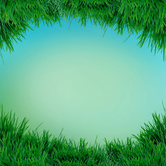 Fototapeta na wymiar green grass isolated on white background