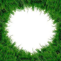 Fototapeta na wymiar isolated fresh green grass on white background