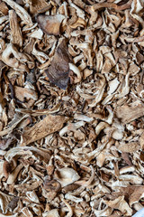 Top view of dried mushroom slices food background texture