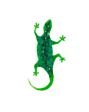 Lacerta – the lizard constellation.Green lizard in polygonal style. Starry sky lizard colorful modern geometric icon, wild animal isolated on the white background. Animal crystal constellation.