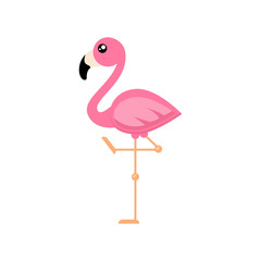cartoon flamingo vector