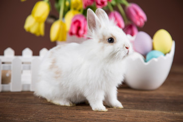 Easter rabbit in a shell of eggs. Pastel egg, flowers