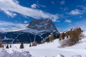 view of the Sassolungo mountain from the Gardena pass, Val gardena, Groeden, Bolzano, Trentino Alto Adige, Italy