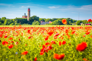 Kap Arkona lighthouse with red poppy flowers in summer, Rügen, Ostsee, Germany