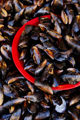 Shellfishes at market