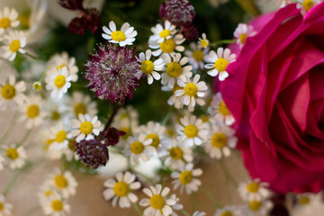 Blumenstrauß mit Margeriten und Rose