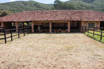 Fototapeta na wymiar Piquete Fazenda campo