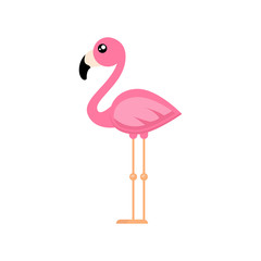 cartoon cute flamingo vector