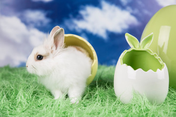 Easter rabbit. Colorful Easter eggs. 