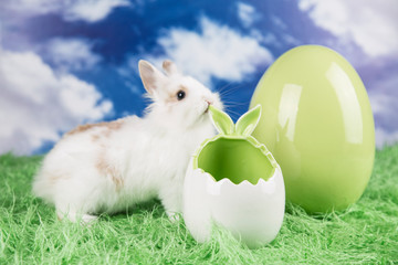 Easter rabbit. Colorful Easter eggs. 