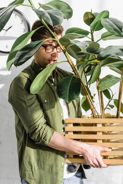 Cunning Man In Green Shirt And Glasses Holding Pot With Plant Near Brick Wall In Office