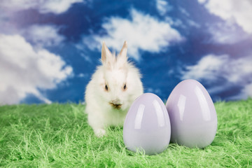 Easter rabbit. Colorful Easter eggs. 